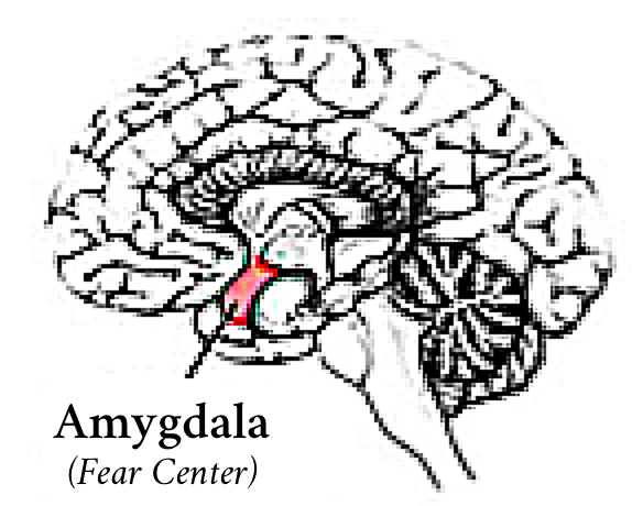 About EFT – Tapping with Tom